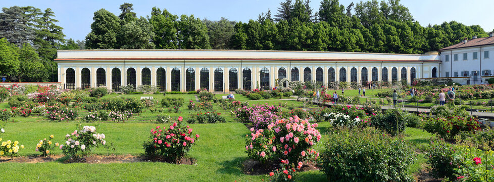 roseto della villa reale di monza 
