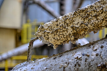 Worn zink anode on steel structure
