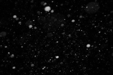 Snow background. Snow on a black background. Snowflakes for overlay.