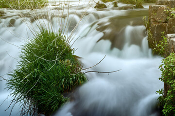 Green grass tuft on a rock between the roaring foaming white waters of a waterfall, motion blur,...
