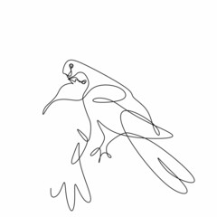 continuous drawing of one line of two pigeons . The bird is a symbol of love and peace in a minimalist style. Vector illustration of doodles