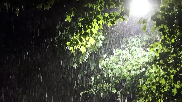 Heavy rain and thunderstorms and storms through the dark night trees and street lamps