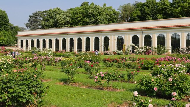 roseto della villa reale di monza
