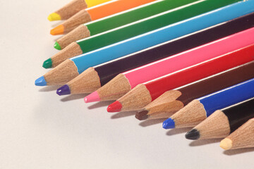 並んだ色鉛筆