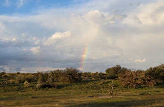 Rainbow over Mata Mata waterhole, Kgalagadi, South Africa
