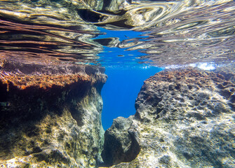 Obraz premium A tropical reef below the surface of the transparent blue sea. Underwater scene.