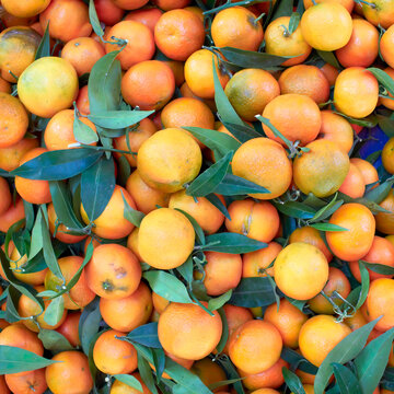 Organic raw oranges top view closeup, fruit background