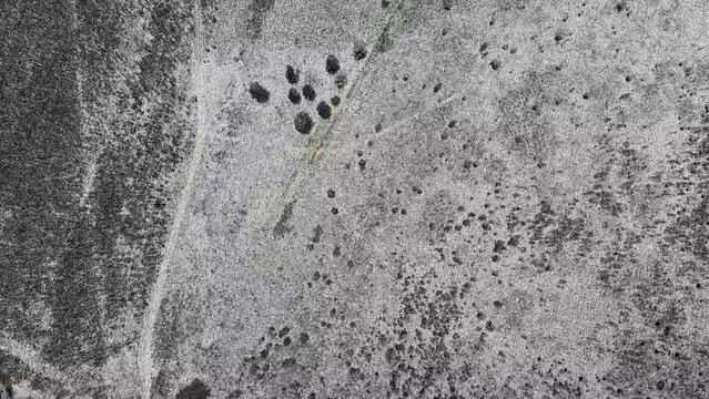 Dense points cloud information model area obtained by aerial laser scanning