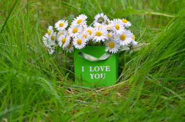 Green gift paper bag '' I love you'' with wild white daisies  in the grass. Love or proposal concept .Photo outdoors. Free copy space.