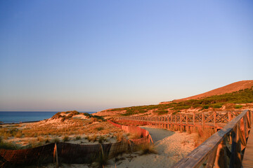 A boardwalk and fences protecting the beautiful dunes landscape of Cala Mesquida, Mallorca-a nature reserve along a hillside pine-tree forest with panorama view to the sea, sunset, evening atmosphere