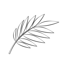 Outline drawing of palm branch