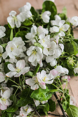 Light delicate branches with apple tree flowers on a beige table. Lush bunch of flowering spring branches from the garden.