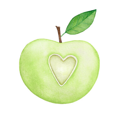 Watercolour drawing of green apple decorated with little love heart. Symbol of knowledge, wisdom, love, peace, positivity, education. Hand painted water color graphic illustration on white background.