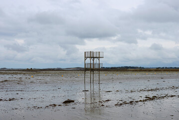Roscoff - plateforme