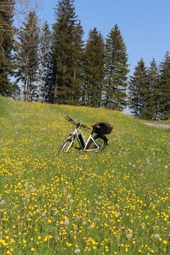 Weißes E-Bike mit Fahrradkorb auf einer Blumenwiese im Frühling, Allgäu, Bayern