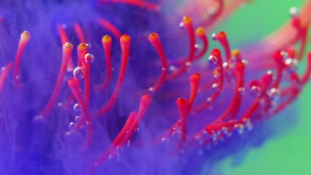  Bright shooting in macro photography.Stock footage. Transparent water in which the flower is entangled and opens there.