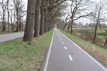 Fahrradweg entlang der Hauptstraße.