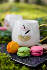 Cup of hot coffee and colorful macaroon cookies in the forest