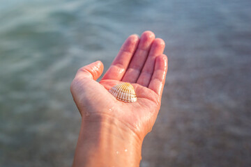 Seashell in a female palm against the background of the sea