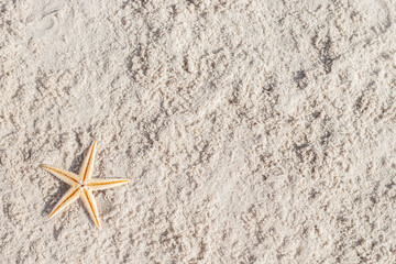 Gold starfish on a sandy beach. Top view, flat lay