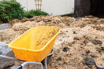 Wheelbarrow beside a large pile of horse manure and bedding