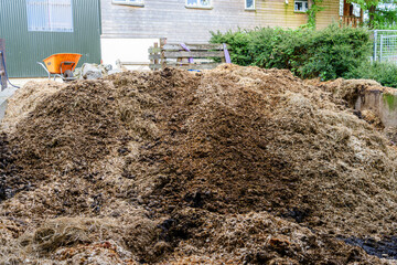 Wheelbarrow beside a large pile of horse manure and bedding