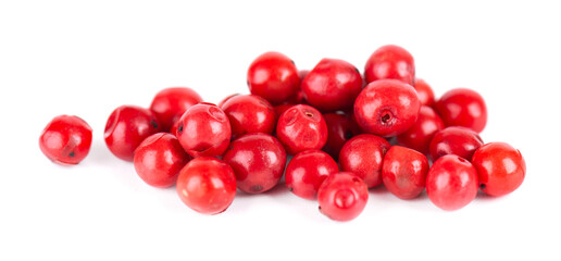 Pink peppercorns isolated on white background. Dry red pepper grain. Organic spice.