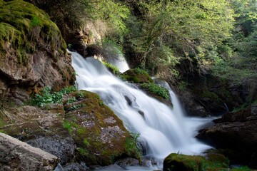 SOURCE OF THE YOBREGAT RIVER