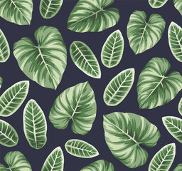 Hawaiian seamless pattern with exotic palm leaves. Tropical plants in realistic style. Foliage design. Vector botanical illustration on a black background.