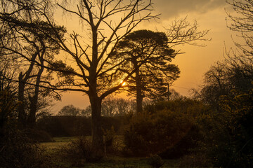 Fototapeta na wymiar Sunrise in Countyside....