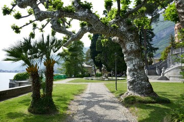 Fototapeta na wymiar Parco Tercio Olivelli, Tremezzo, Lake Como, Italy