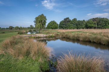Fototapeta premium Calm waters at Bushy Park Surrey