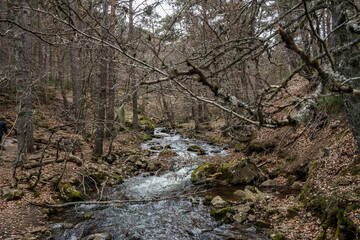La laguna negra View on Soria