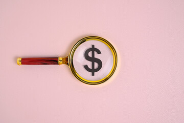 Dollar symbol under a magnifying glass, on pink background.