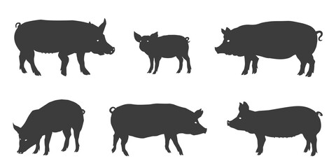 pig silhouettes 2022