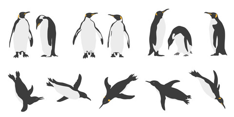 penguins 2022 - obrazy, fototapety, plakaty