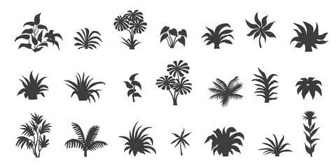 Fotobehang jungle plants silhouettes vol1 © jan stopka