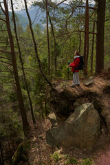 Naklejka premium Woman backpacker trekking in the woods with walking poles