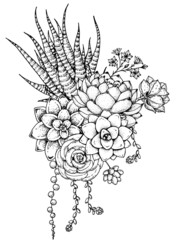 Succulent sketch composition. Hand drawn vector illustration. Floral sketch. Tattoo vintage print. Illustration for t-shirt print, fabric,greeting cards, wedding invites and other uses.