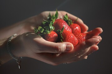 A woman holding a red, ripe, fresh strawberry in her hands, isolated on a dark background close-up, selective focus. A young woman holding a handful of fresh ripe strawberries, close-up. Strawberry. 