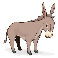 Cute brown donkey in cartoon style over white background, Vector illustration