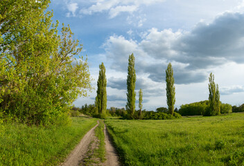 landscape, sky, nature, tree, field, grass, summer, green, forest, meadow, cloud, blue, clouds, trees, spring, countryside, rural, country, autumn, environment, land, hill, agriculture, beautiful, out