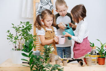 Group of children watering a seedling in a cup together, looking at it
