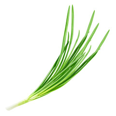 Green onion isolated on the white background, clipping path, full depth of field
