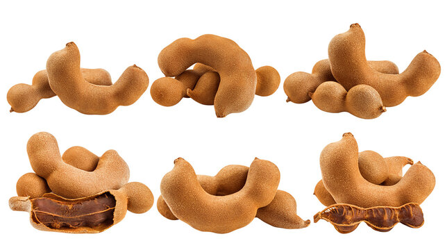 tamarind, isolated on white background, clipping path, full depth of field