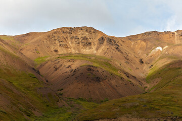 Denali National Park