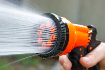 Garden water sprayer. Rooting process. Watering the garden.