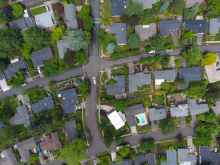 Aerial view. Picturesque small town, suburb. A lot of greenery, developed infrastructure....