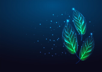 Fototapeta na wymiar Futuristic eco herbs concept with glowing low polygonal green leaves isolated on dark blue