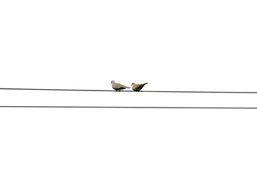 Objet détouré - Colombes © Anthony SEJOURNE